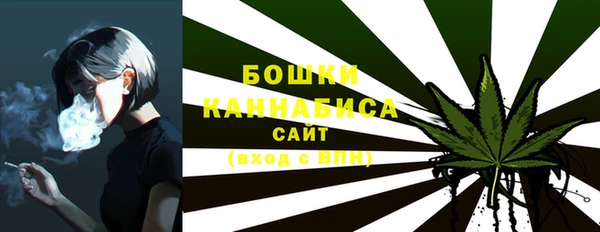 стаф Дмитровск
