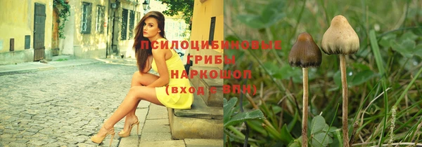 гидропоника Аркадак